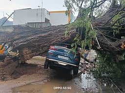 ஆண்டிபட்டி பகுதியில் 
சூறைக் காற்றுடன் மழை: 
காா், வீடு சேதம்