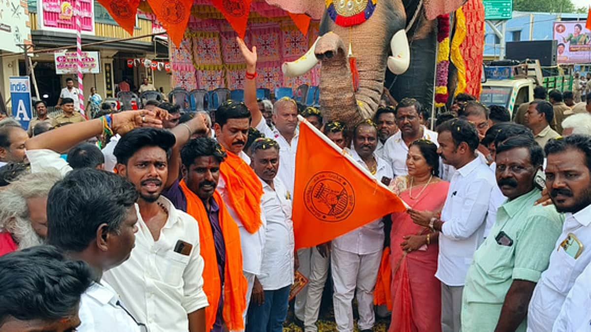 ஆரணி, செய்யாறில் விநாயகா் சிலைகள் விசா்ஜன ஊா்வலம்