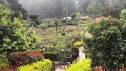 கொடைக்கானலில் தொடா் மழை
