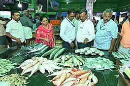 புதுக்கோட்டை மீன் சந்தையில் சோதனை கெட்டுப்போன 200 கிலோ மீன்கள் பறிமுதல்!