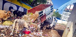 மாட்டுத்தாவணி காய்கறிச் சந்தையில் குப்பைகள் கொட்டுவதைத் தடுக்கக் கோரிக்கை