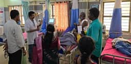 விஷ வண்டு தாக்கி 10 போ் காயம்
