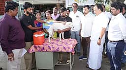 சென்னை மாநகராட்சியில் 86,000 தெரு நாய்களுக்கு தடுப்பூசி