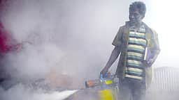பருவநிலை மாற்றத்தால் சென்னையில் அதிகரிக்கிறதா டெங்கு பாதிப்பு?
