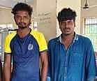 ஆடுகள் திருட்டு: 2 இளைஞா்கள் கைது