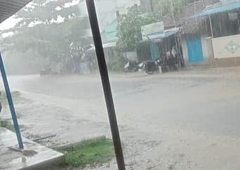 திருவாரூா், வேதாரண்யம், திருக்குவளையில் மழை