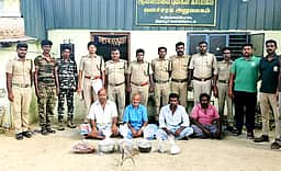 கடமான் கொம்பு, இறைச்சி பதுக்கிய 4 போ் கைது
