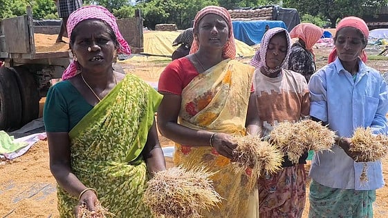 மு.அகரம் கிராமத்தில் அரசு நேரடி நெல் கொள்முதல் நிலையத்தில் மழையில் நனைந்து முளைத்த நெல்லுடன் பெண் விவசாயிகள்.