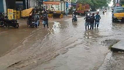 பலத்த மழை: சாலையில் சாய்ந்த மரம்
