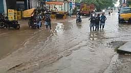 பலத்த மழை: சாலையில் சாய்ந்த மரம்