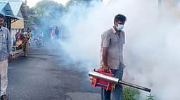 சென்னை மாநகராட்சியில் 4,192 வீடுகளில் கொசுப்புழு அழிப்பு