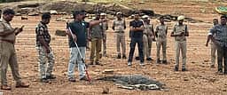 காரையாறு அணையில்
விடப்பட்ட முதலை