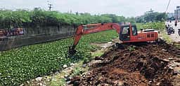 ஆகாயத்தாமரைகள் அகற்றும் பணி