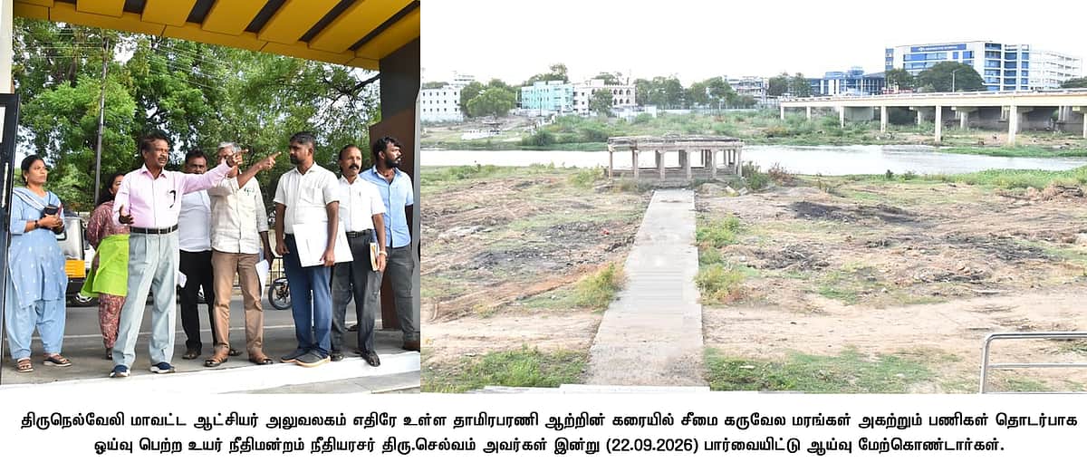 சீமைக் கருவேல மரங்களை அகற்ற மாவட்டத்துக்கு தலா ரூ.5 கோடி தேவை- ஓய்வுபெற்ற நீதிபதி செல்வம்