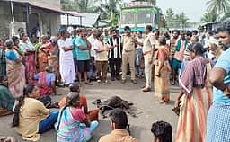 அந்தியூா் அருகே கால்நடைகளை வேட்டையாடிய சிறுத்தை