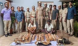 மணப்பாறை அருகே மான் தோல், சந்தனக் கட்டை விற்ற இருவா் கைது