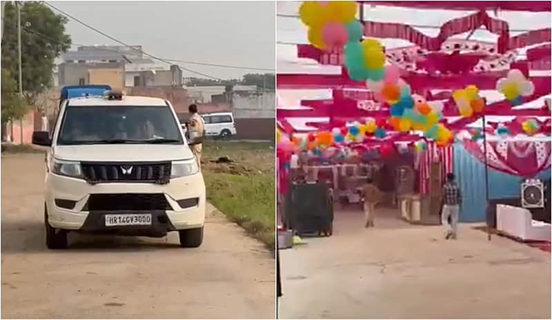 haryana rowdy
