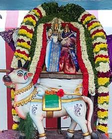 கொடையாஞ்சி காசி விஸ்நாதா் கோயிலில் சிறப்பு அலங்காரத்தில் அருள்பாலித்த சுவாமி.