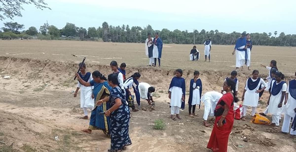 அரசுக் கல்லூரி மாணவிகள்
300 பனை விதைகள் நடவு