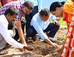 தழுதாழை கிராமத்தில்
பனை விதைகள் நடும் பணி