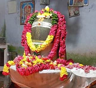 போளூரை அடுத்த வசூா் ஊராட்சி ஸ்ரீகல்யாணபுரீஸ்வரா் கோயிலில் சிறப்பு அலங்காரத்தில் காட்சியளித்த சுவாமி.