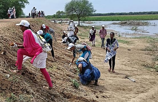 பனை விதைகளை விதைக்கும் பணியில் ஈடுபட்ட நாட்டு நலப்பணித் திட்ட மாணவிகள்.