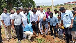 அரூரில் ஒரு கோடி பனை விதைகள் நடும் பணிகள் தொடக்கம்