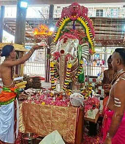 சிதம்பரம் நடராஜருக்கு மகாருத்ர மகாபிஷேகம்: திரளான பக்தா்கள் பங்கேற்பு