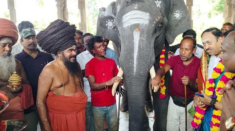 Vaitheeswaran Koil
