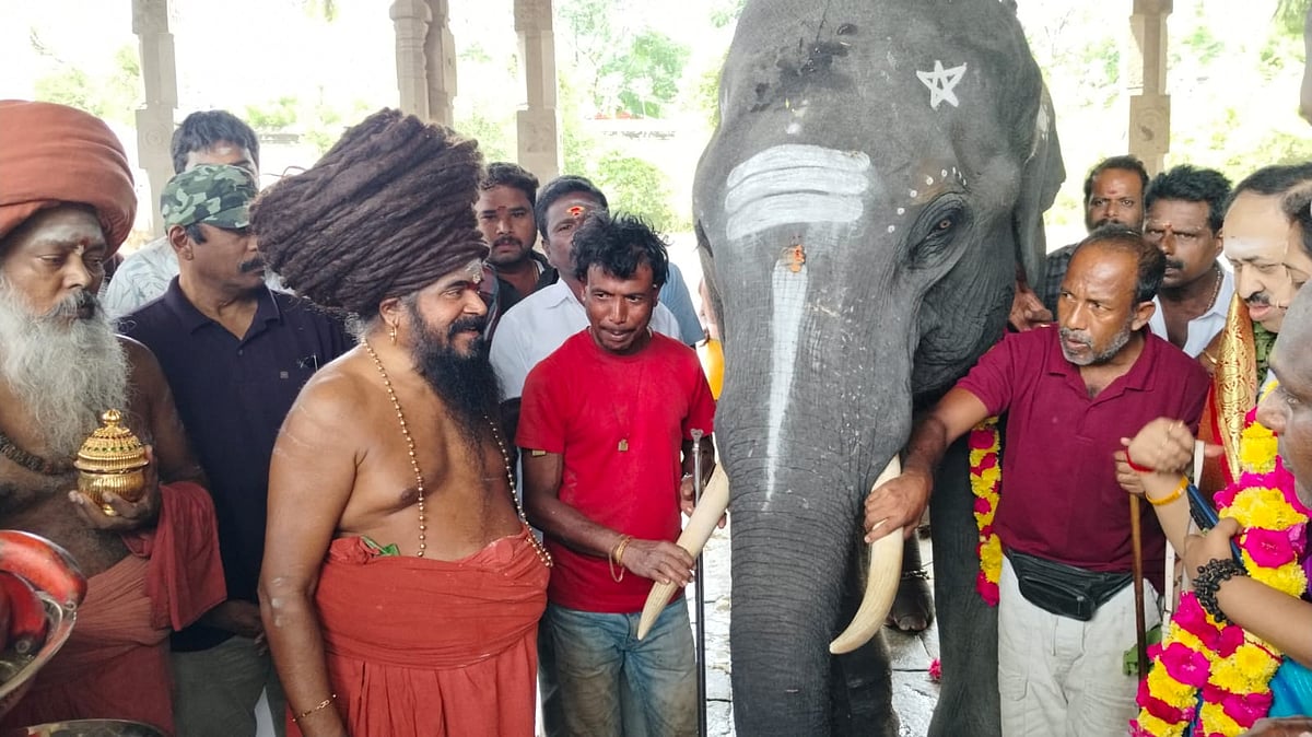 பக்தர்கள் புதிதாக வந்த யானையை ஆர்வமுடன் பார்வையிட்டு ஆசீர்வாதம் பெற்று யானையுடன் நின்று புகைப்படம் எடுத்துக்கொண்டனர்.