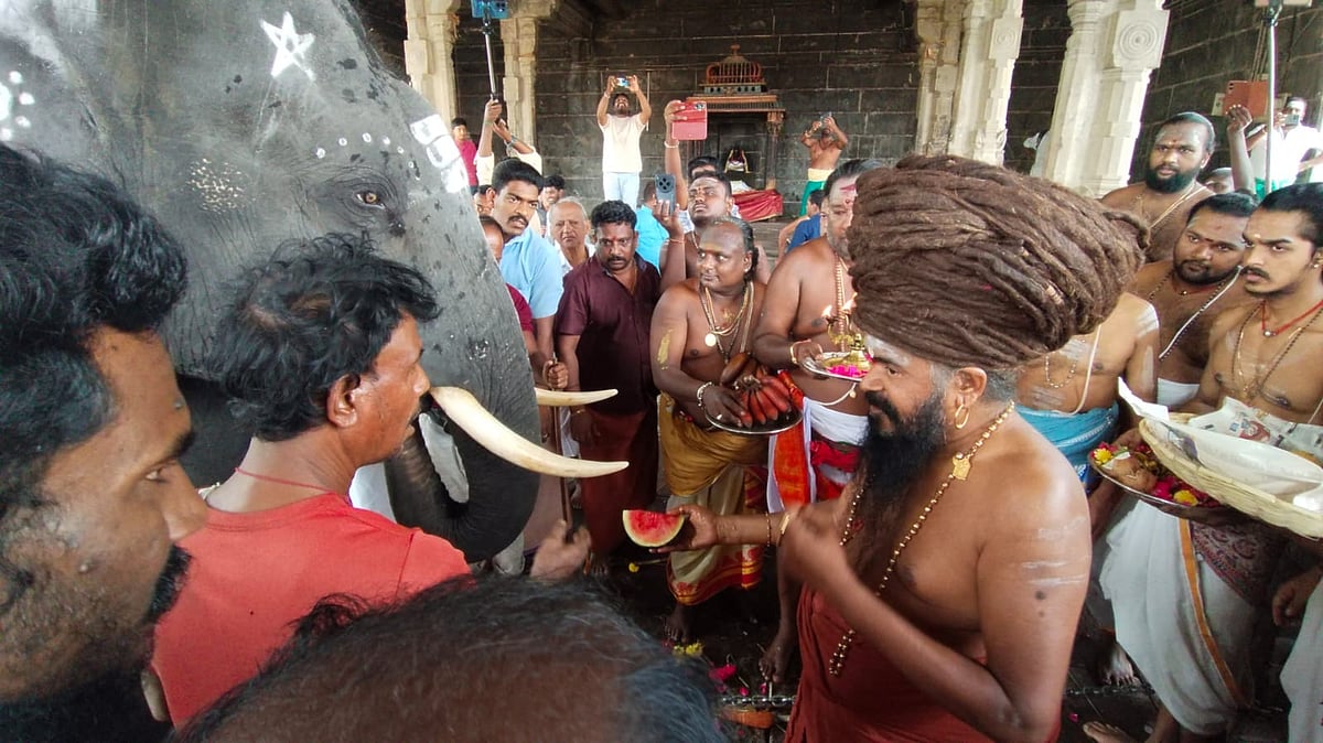 தருமபுரம் ஆதீனம் உடன் யானை முத்தையா.