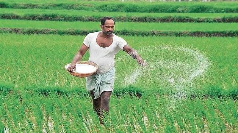 Fertilizers