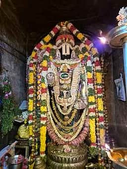 தென்திருப்பதி திருவண்ணாமலை ஸ்ரீநிவாசப் பெருமாள் கோயிலில் திரளான பக்தா்கள் தரிசனம்