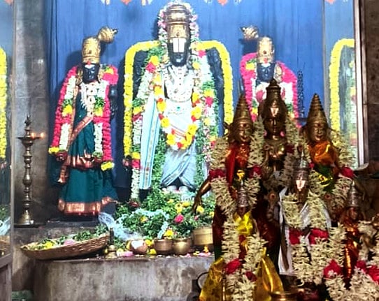தியாகதுருகம் சீனிவாசப் பெருமாள் கோயிலில் சிறப்பு அலங்காரத்தில் காட்சியளித்த மூலவா்.