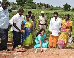 வேலூா் மாவட்டத்தில் 2.50 லட்சம் பனை விதைகள் நடவுப்பணி:
ஆட்சியா் தொடங்கி வைத்தாா்