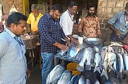 கம்பத்தில் கெட்டுப் போன மீன்கள்
பறிமுதல்: 10 கடைகளுக்கு அபராதம்