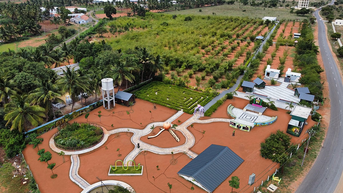 மூங்கில் பூங்கா மற்றும் நகர்ப்புறக் காடு