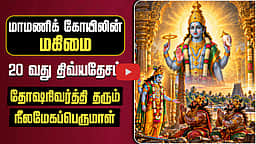 தோஷநிவர்த்தி தரும் நீலமேகப்பெருமாள்! | திருக்கோயில் வலம் | தஞ்சை