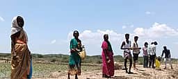 ஓரியூா் திட்டை ஊரணி குளக்கரையில் பனை விதைகள் நடவு