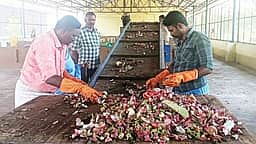 காய்கனி கழிவுகளில் உரம் தயாரிப்பு: குப்பைகளை தரம் பிரித்து வழங்க வேண்டுகோள்