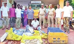 வெளிநாட்டுக்கு கடத்தவிருந்த 418 கிலோ கடல் அட்டைகள் பறிமுதல்