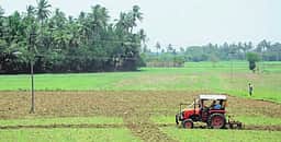 சம்பா இலக்கு 1.24 லட்சம்: இதுவரை 390 ஏக்கா் மட்டுமே சாகுபடி!