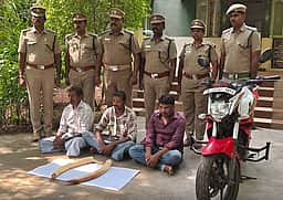 குடியாத்தம் அருகே யானைத் தந்தம் கடத்தல்: 3 பேர் கைது!
