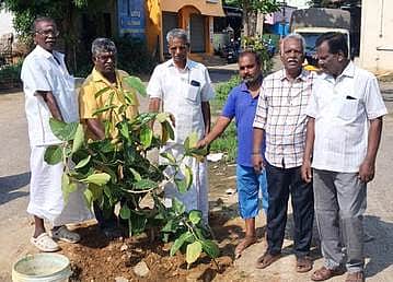 அரக்கோணத்தில் மரம் நடும் விழா
