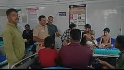குன்னூா் சிம்ஸ் பூங்காவில் தேனீக்கள் கொட்டி 20 போ் காயம்