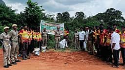 பணகுடி ஓடைக்கரையில் 1,000 பனை விதைகள் நடவு