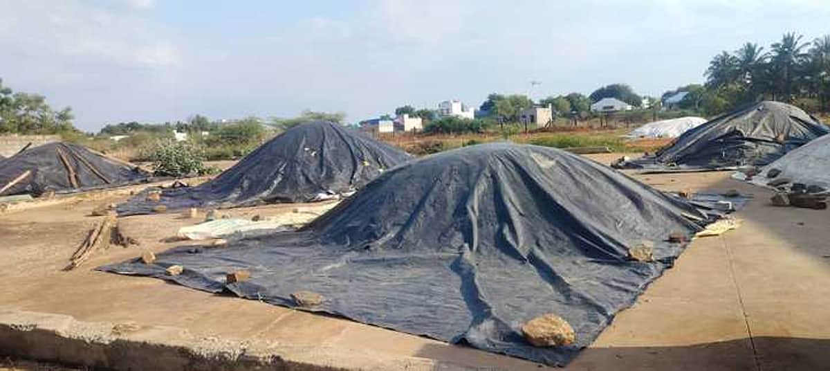 கடையநல்லூரில் நெல் கொள்முதல் செய்ய தாமதம்: மழையிலிருந்து நெல்லை பாதுகாக்க விவசாயிகள் திணறல்!