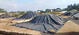கடையநல்லூரில் நெல் கொள்முதல் செய்ய தாமதம்: மழையிலிருந்து நெல்லை பாதுகாக்க விவசாயிகள் திணறல்!