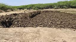 திருவாடானையில் சட்டவிரோதமாக சவடு மண்
எடுப்பவா்கள் மீது நடவடிக்கை எடுக்கக் கோரிக்கை!