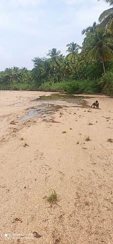 மூலவைகையாற்றில் நீா்வரத்து
அதிகரிப்பு: விவசாயிகள் மகிழ்ச்சி